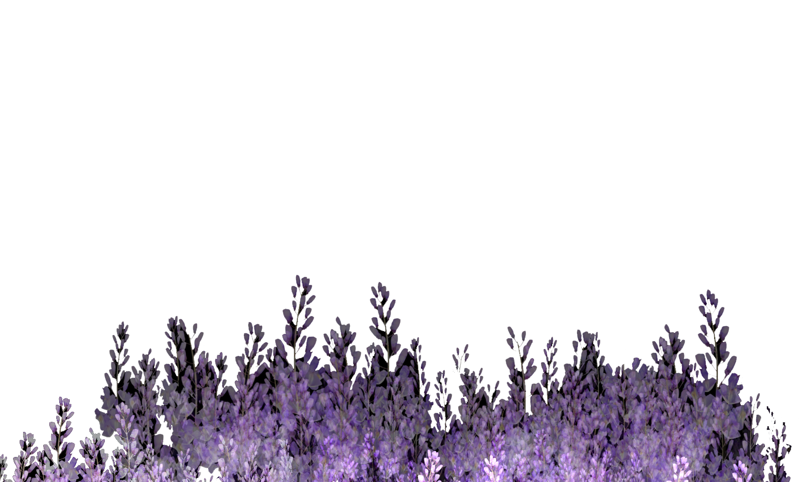 blosum